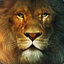 Aslan 316