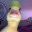 QuackQuack
