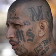 Lil_Son - steam id 76561198141536897