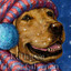 Woof