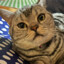 Barnaby.PK
