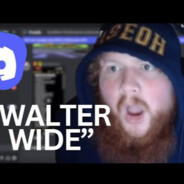 ︻テ 一⊹💥walter wideyuh