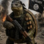 TurtleTurkey