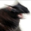 MonsterCat