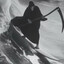 BASStardo