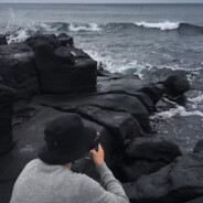 为什么乌鸦像写字台