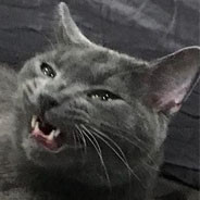 LE - steam id 76561197961101224