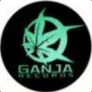 .* * *|PenTeL=ZieL[+]nY|* * *.