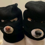 扶你一把是兄弟