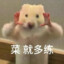 赵兴隆