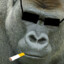 GORILLAN!
