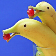 bananaDolphin