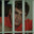 murderer