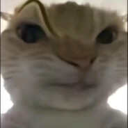 这一枪名为红光