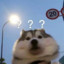 fiko