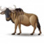 WILDBEAST