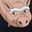 SNOUT