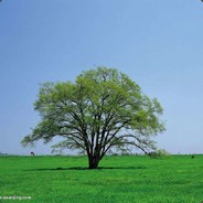 卖萌少女蔡徐坤