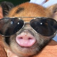 握着我的抱枕XD