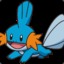 Mudkip