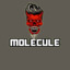 MOLECULE