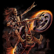 HARLEY DAVIDSON