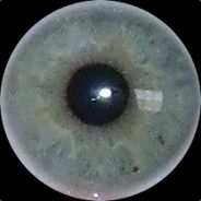 voidlore - steam id 76561197971024883