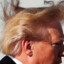 Donald J. Trump&#039;s hair