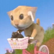 Aymigatito miau miau