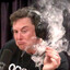 Elon Must