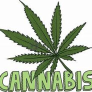 CANNABIS