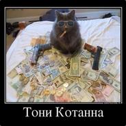 Можно просто Котя