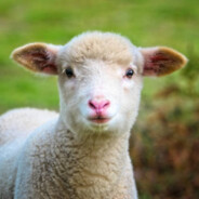 kongkongkongkongkong