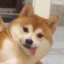 十二点