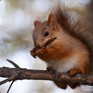 csgoboss.com