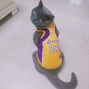 目覚めの勲爵士駆り