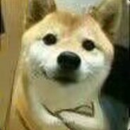 泪水打湿拼好饭