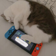 能得利黑加仑子味皖鱼