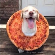 Pizza Dog