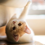 十里烟波暮雨寒