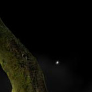 Myanzianum - steam id 76561197960351596