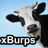 xBurps