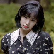 晚上好！尊贵的巨虫传说玩家