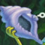 The Magic Conch