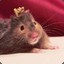 Viking king HamsterS