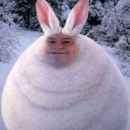 Заяц-бурмолдаец