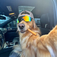 ✪ OdiNNNN_ - steam id 76561199177076273