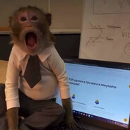 peer-to-peer monkey - steam id 76561199890511345