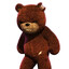 Naughty Bear