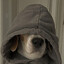 Paco-x